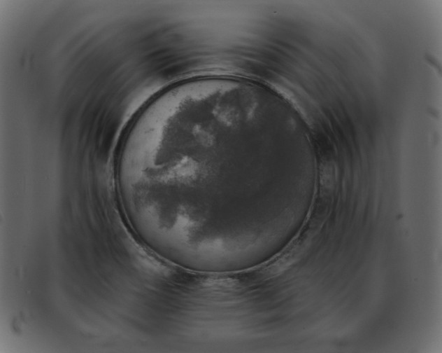 X0000093581466200710151136