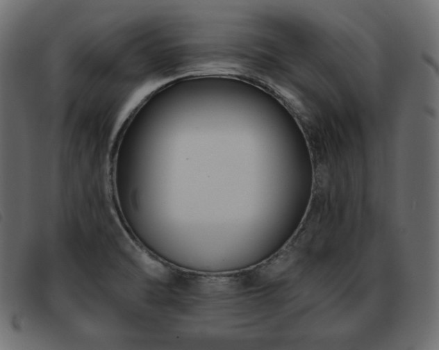 X0000093581470200710151136