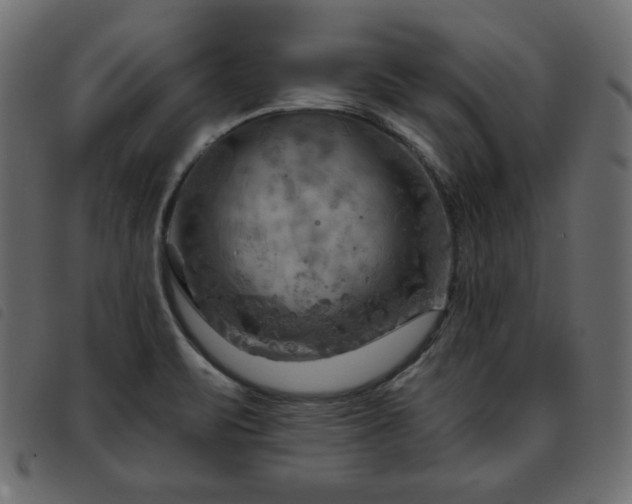 X0000093581471200710151135