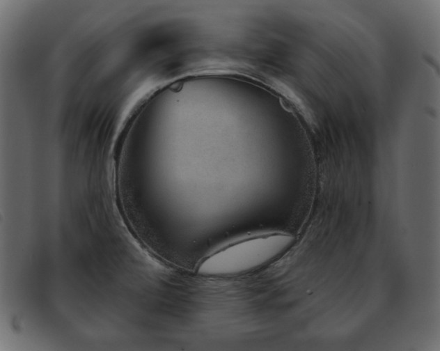 X0000093581472200710151135