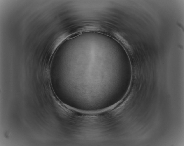 X0000093581473200710151135
