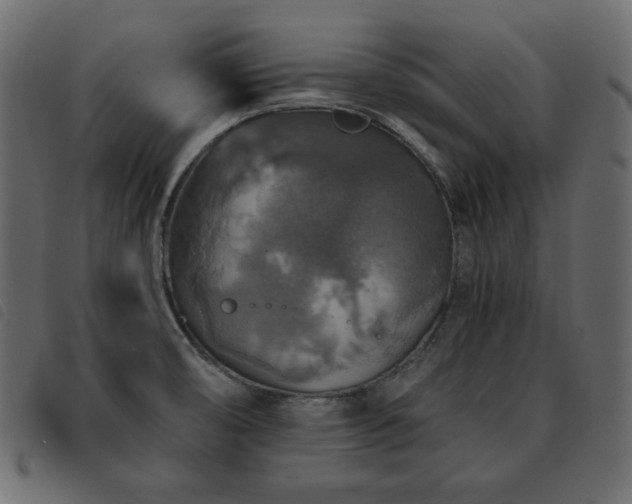 X0000093581474200710151135