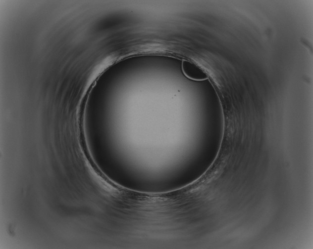 X0000093581475200710151135