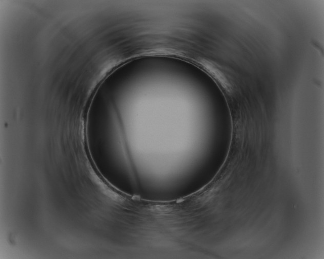 X0000093581476200710151135