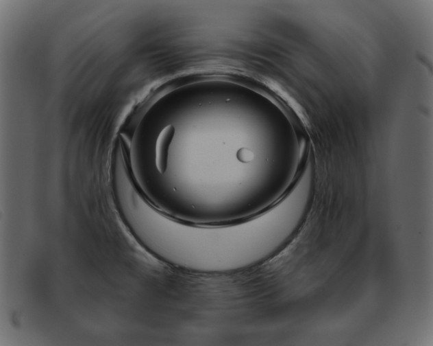 X0000093581477200710151135