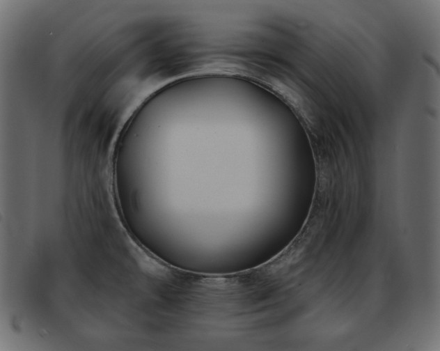 X0000093581478200710151135