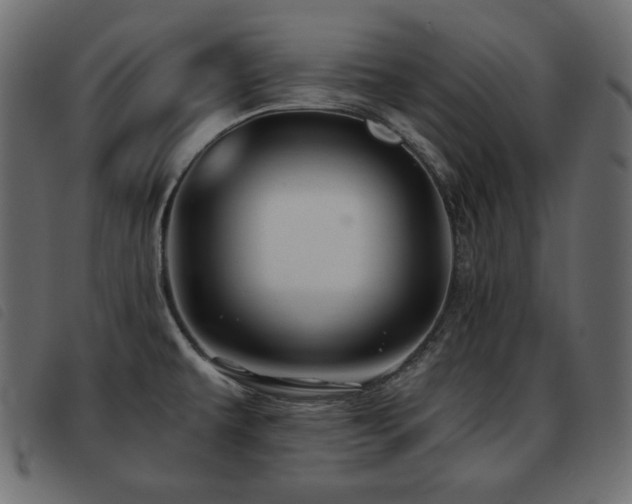 X0000093581479200710151135