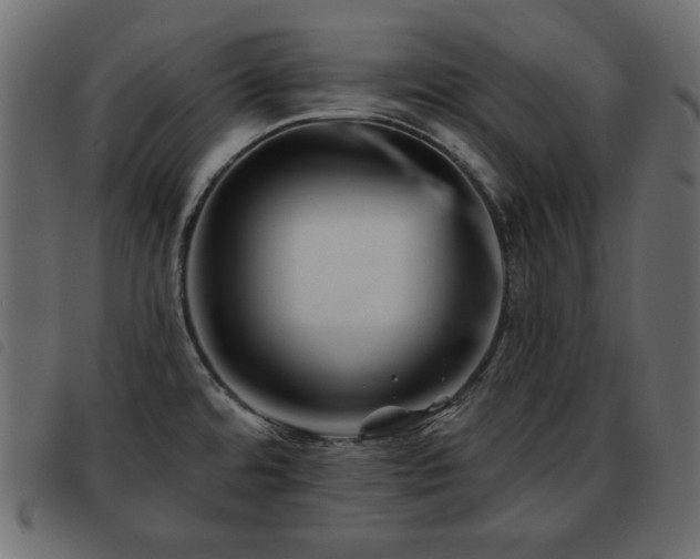 X0000093581480200710151135