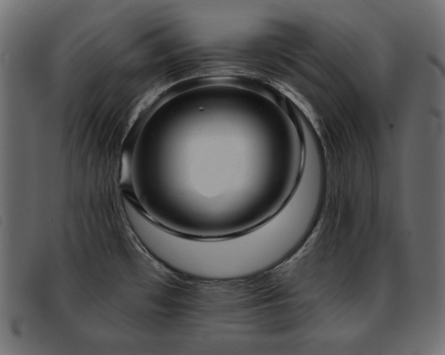 X0000093581481200710151135
