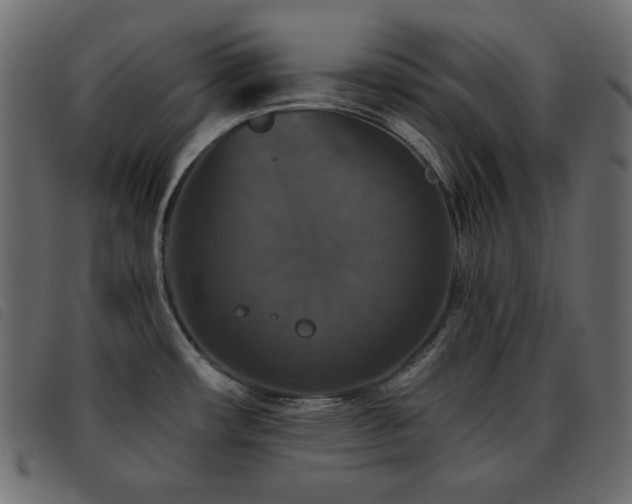 X0000093581482200710151135