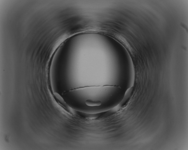 X0000093581483200710151135