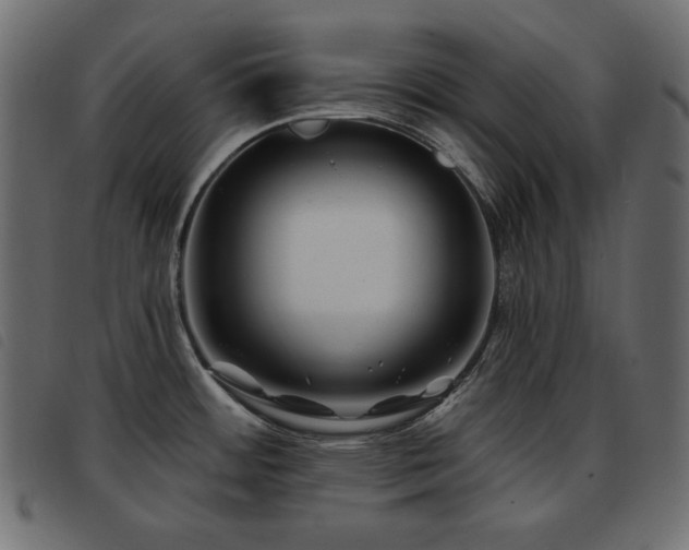 X0000093581484200710151135