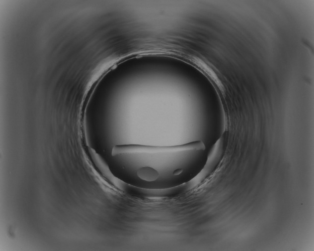 X0000093581485200710151135
