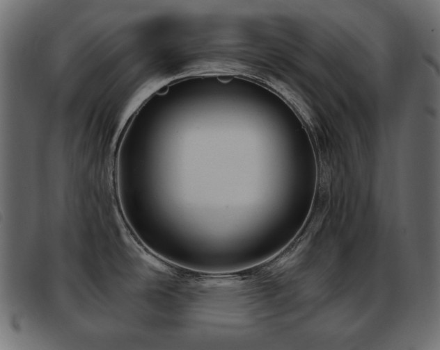 X0000093581486200710151135