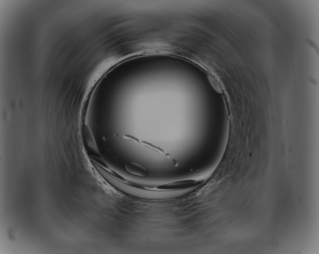 X0000093581488200710151135