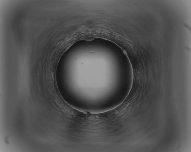 X0000093581489200710151135