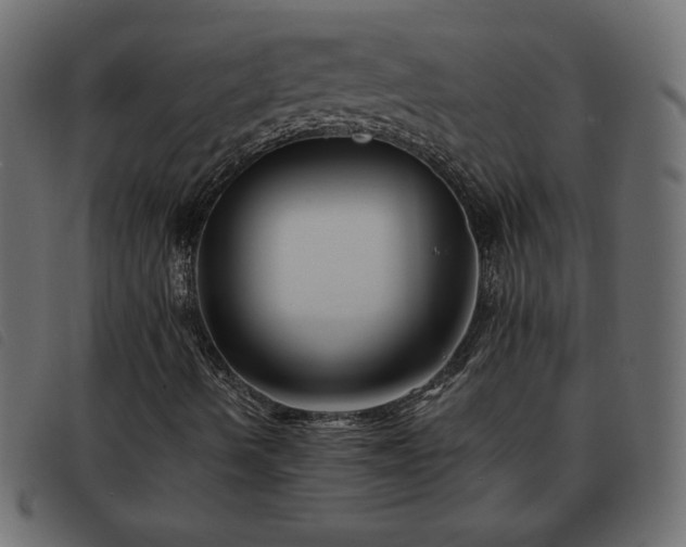 X0000093581490200710151135