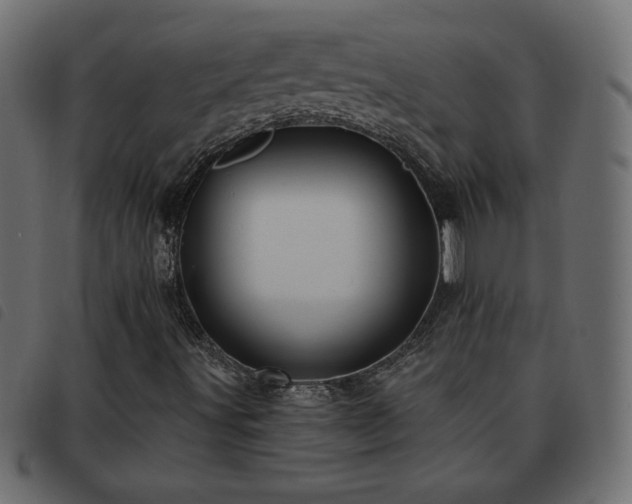 X0000093581491200710151135