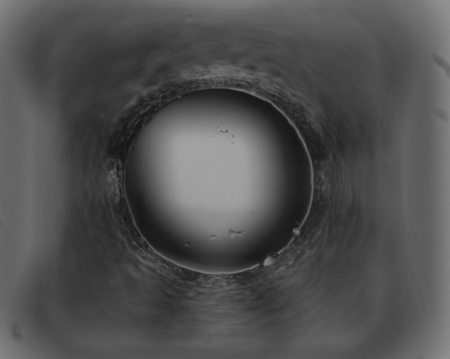 X0000093581493200710151135