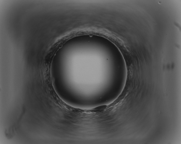 X0000093581494200710151135