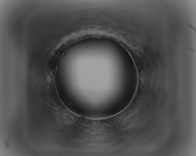 X0000093581495200710151135