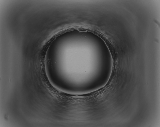 X0000093581496200710151135