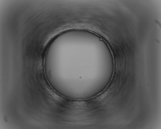 X0000093581498200710151135