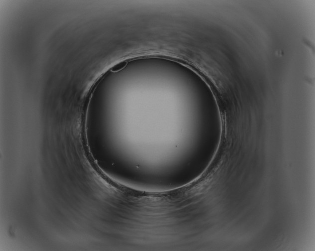 X0000093581500200710151135