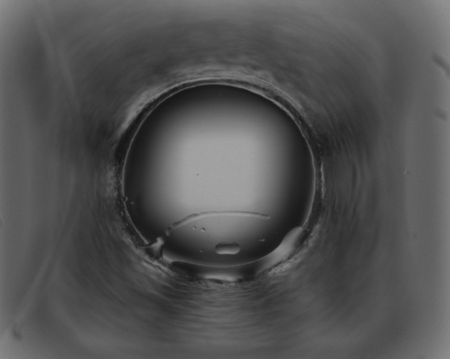 X0000093581501200710151135