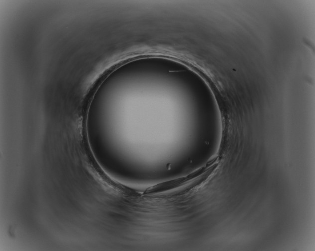 X0000093581503200710151135