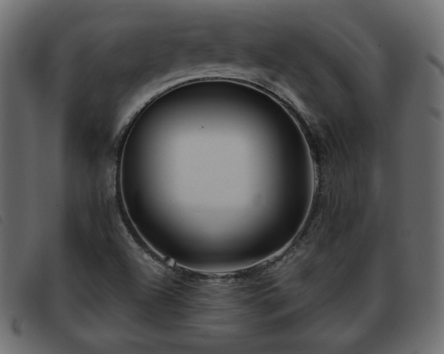 X0000093581504200710151135