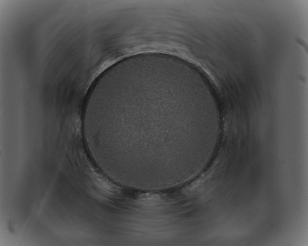 X0000093581505200710151135
