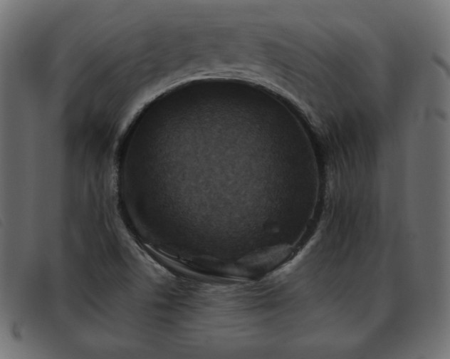 X0000093581506200710151135