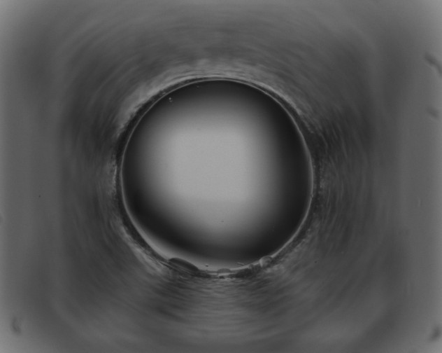 X0000093581507200710151135
