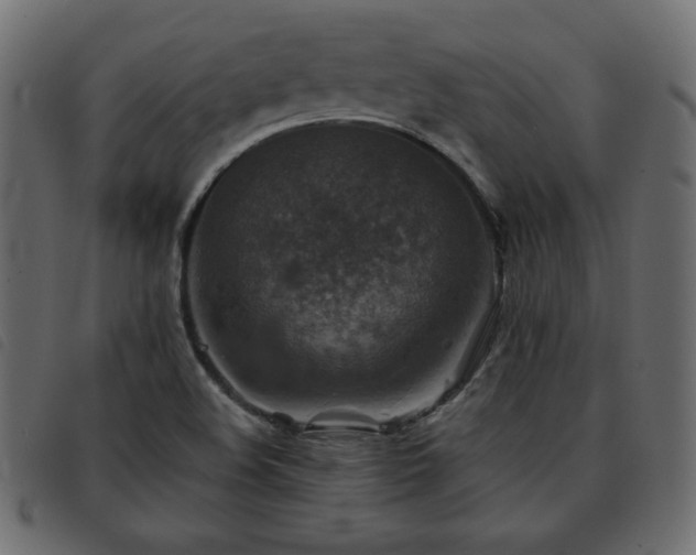 X0000093581508200710151135