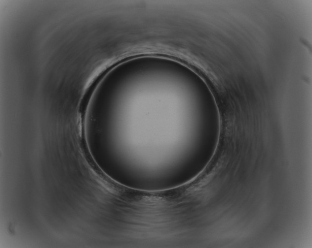 X0000093581509200710151135