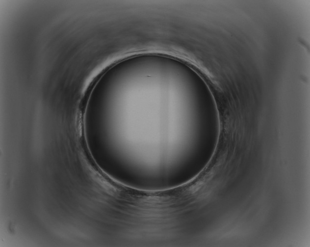 X0000093581510200710151135