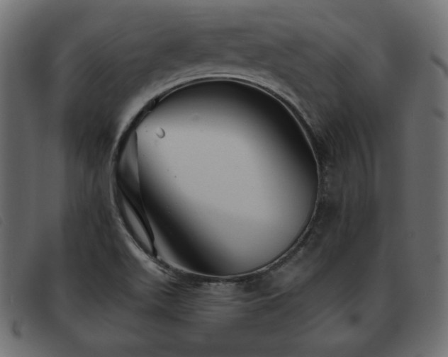 X0000093581511200710151135