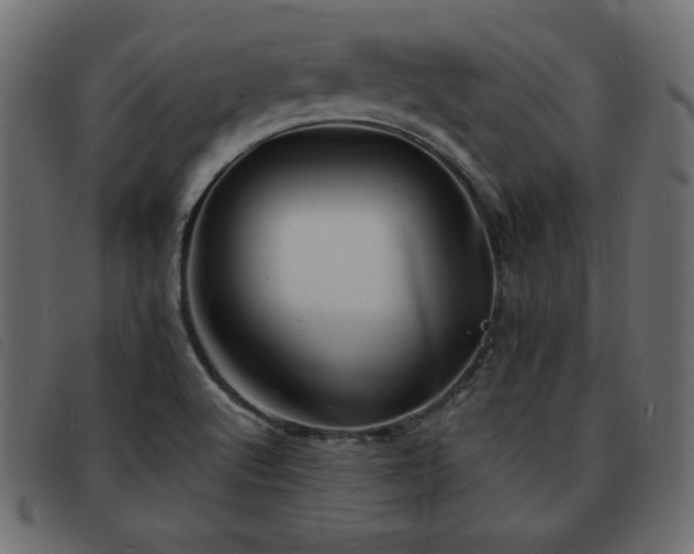 X0000093581512200710151135