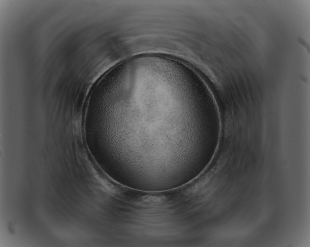 X0000093581513200710151135