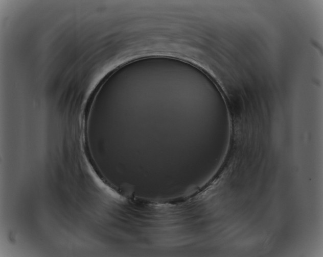 X0000093581515200710151135