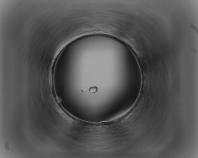 X0000093581516200710151135