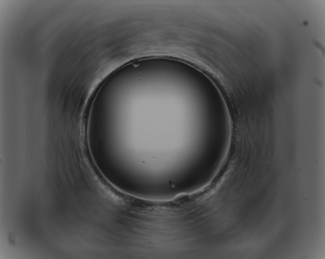X0000093581517200710151135