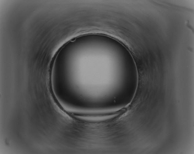 X0000093581518200710151135