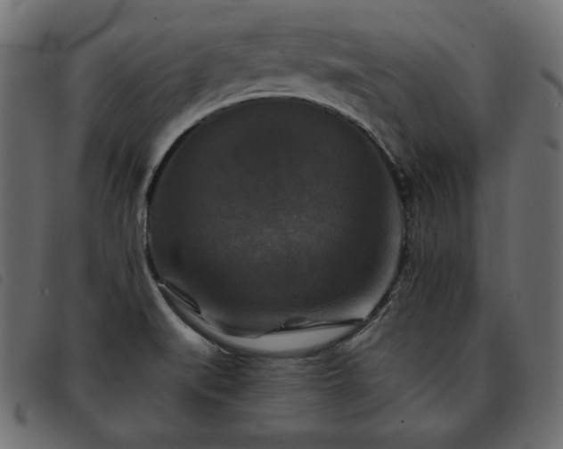 X0000093581519200710151135