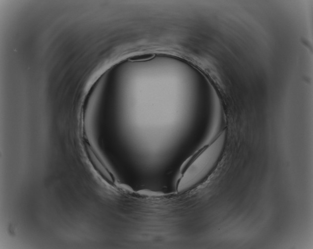 X0000093581520200710151135