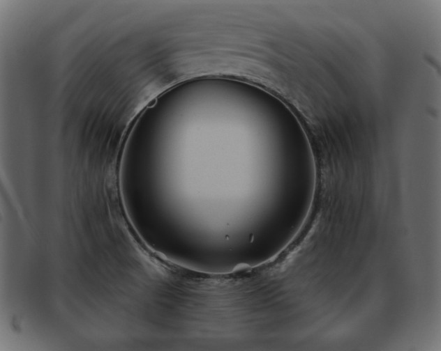 X0000093581521200710151135