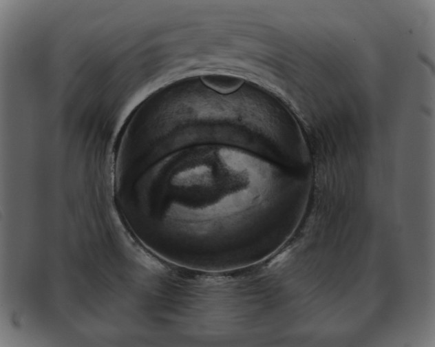 X0000093581522200710151135