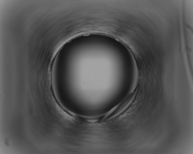 X0000093581524200710151135