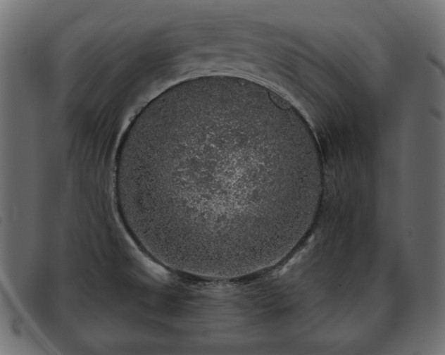 X0000093581525200710151135